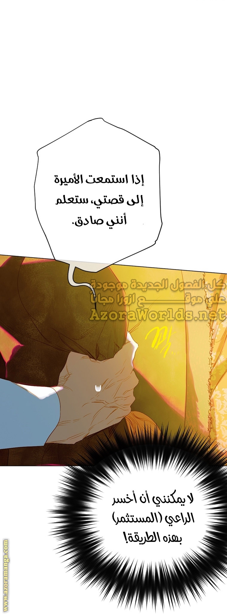 الصفحة 13