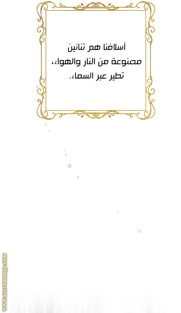 الصفحة 25