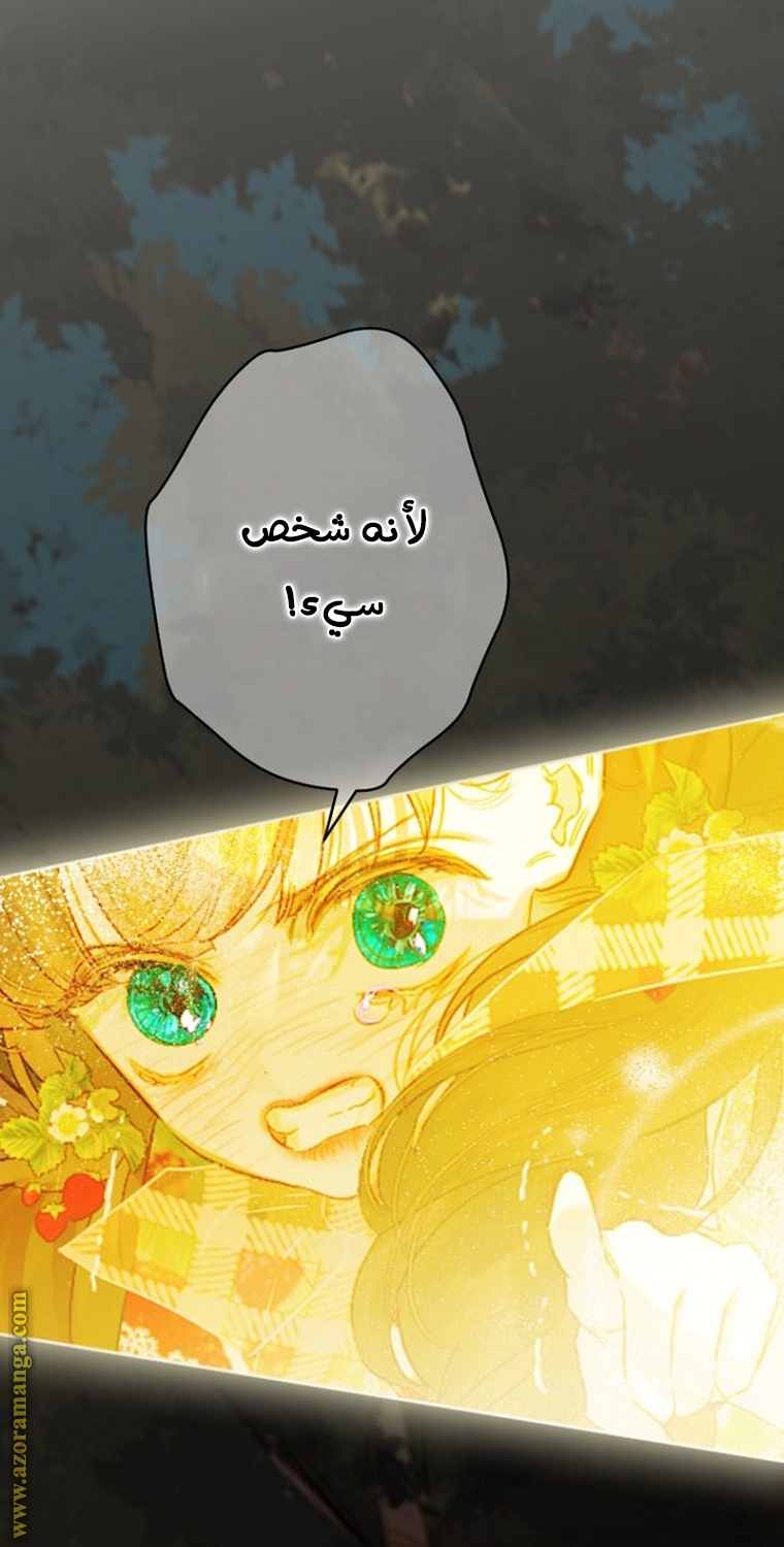 الصفحة 25