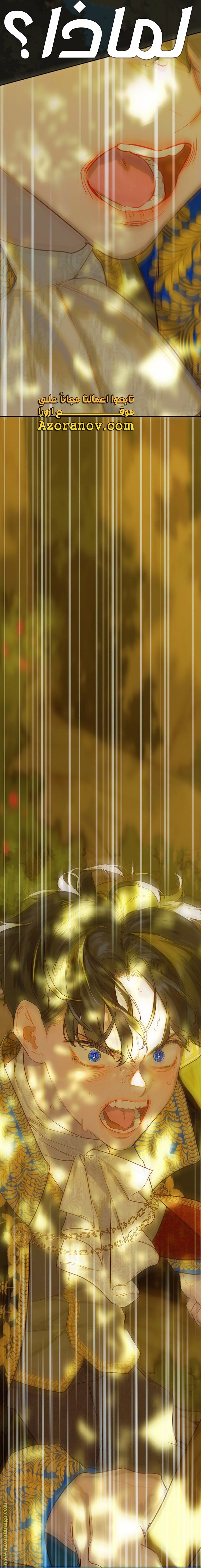 الصفحة 28