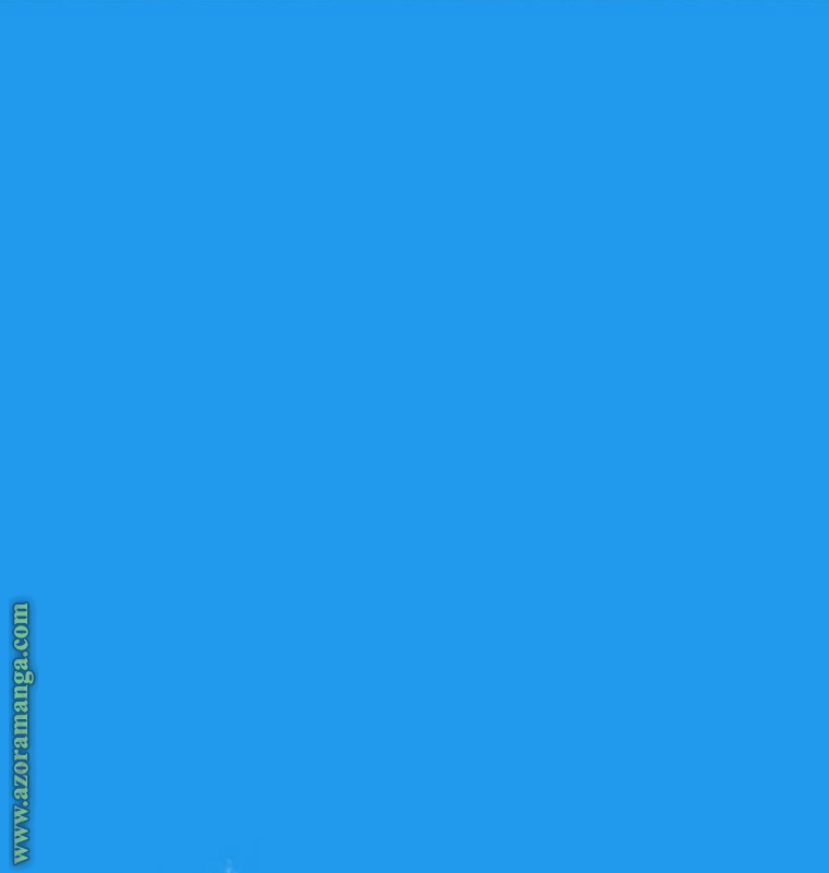 الصفحة 29