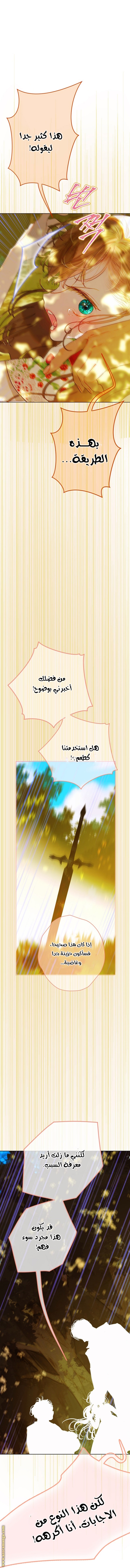 الصفحة 51