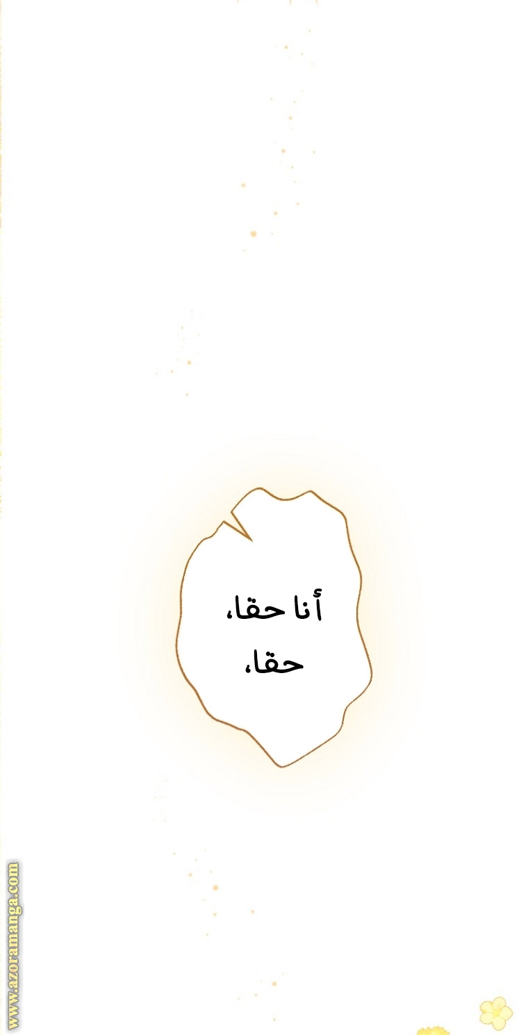 الصفحة 24