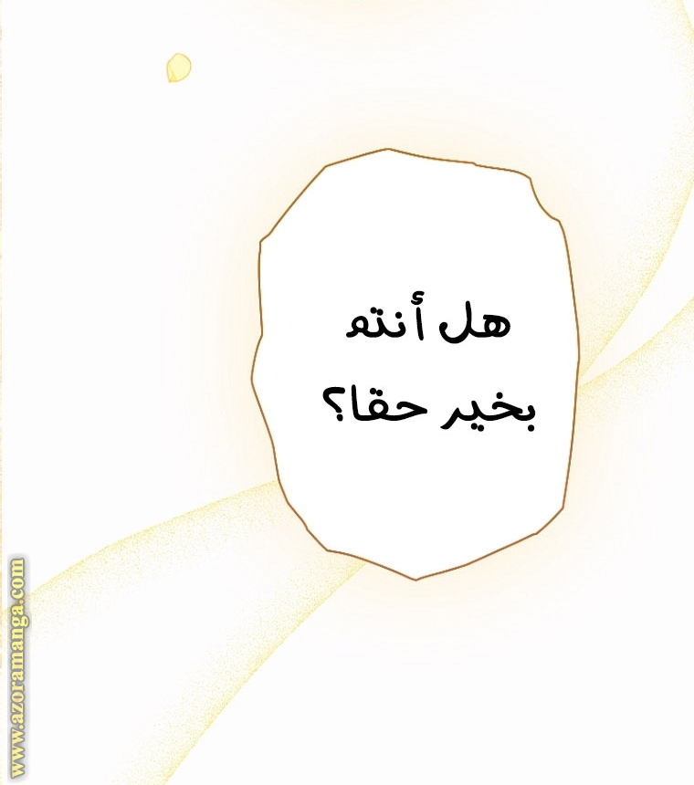 الصفحة 26