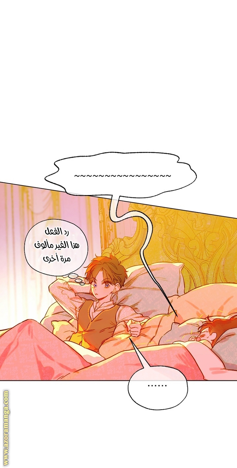الصفحة 32