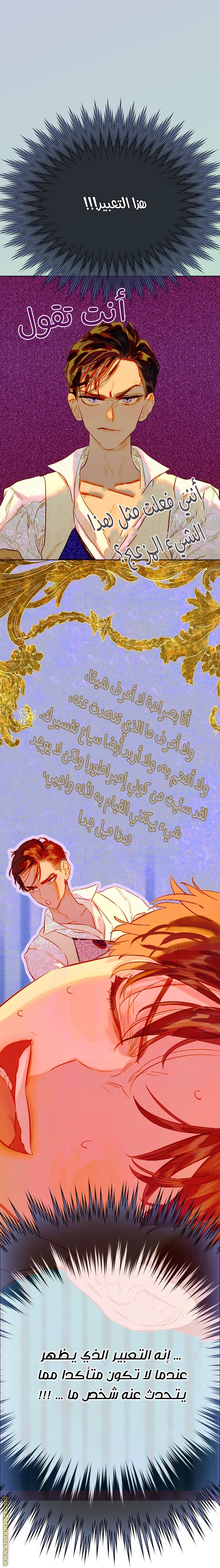 الصفحة 36