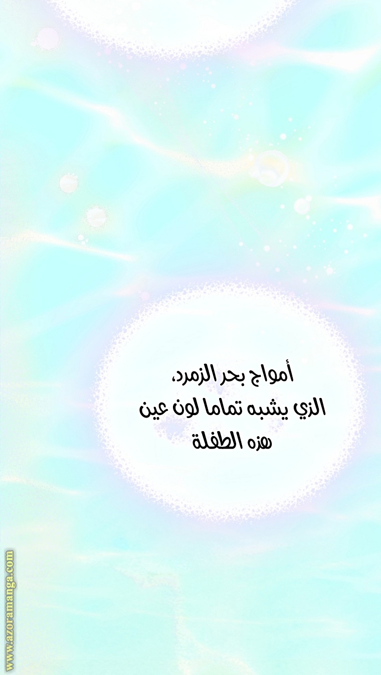الصفحة 37