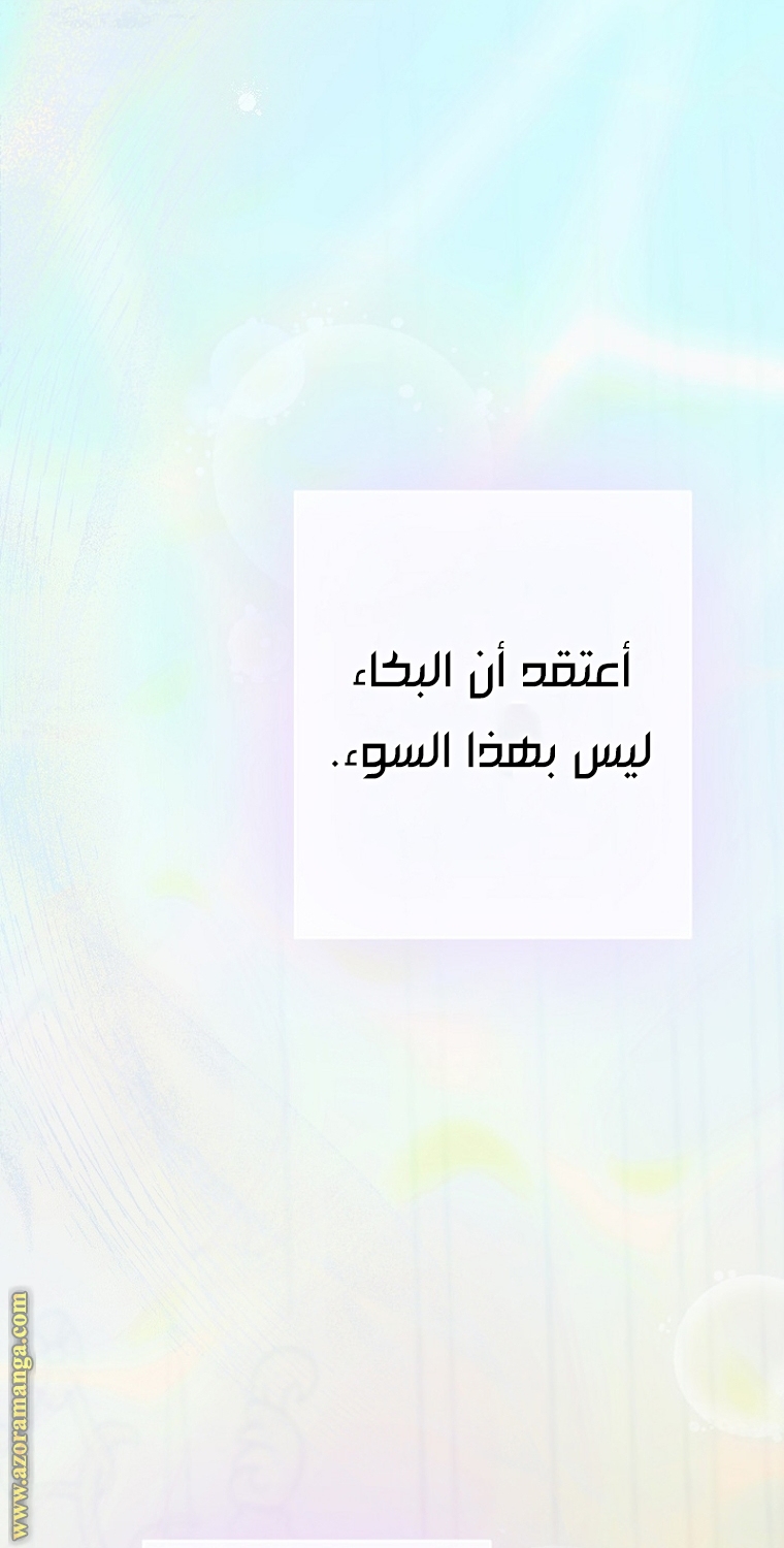الصفحة 42