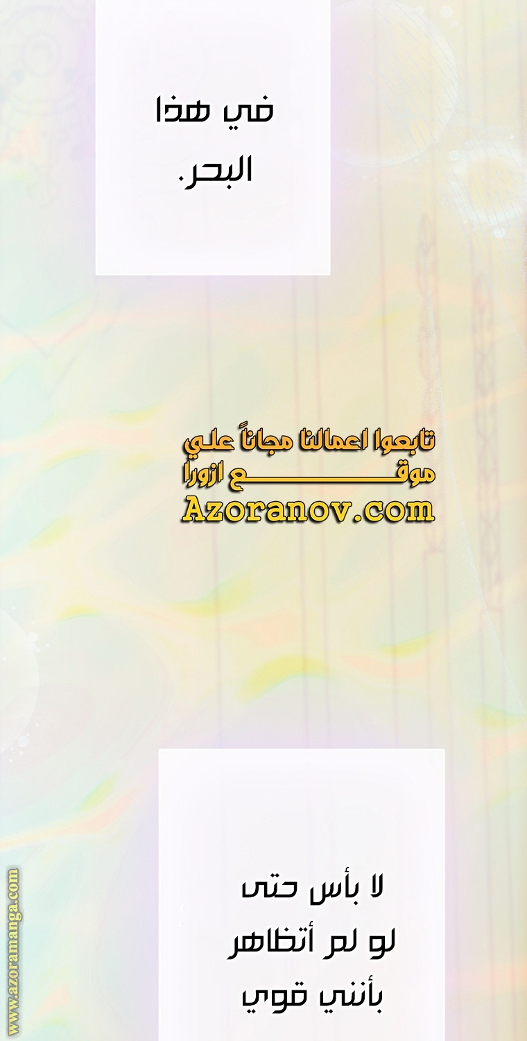 الصفحة 43