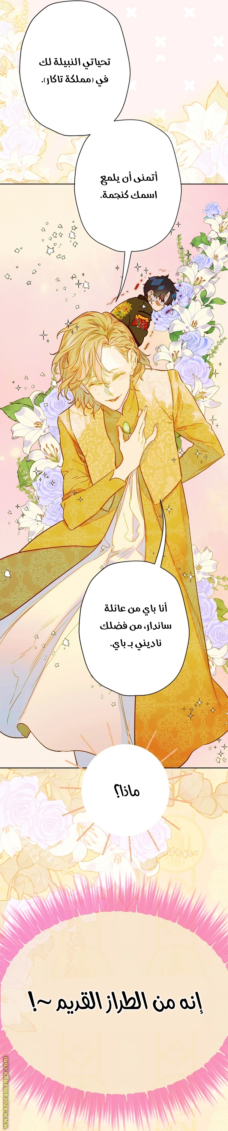 الصفحة 12