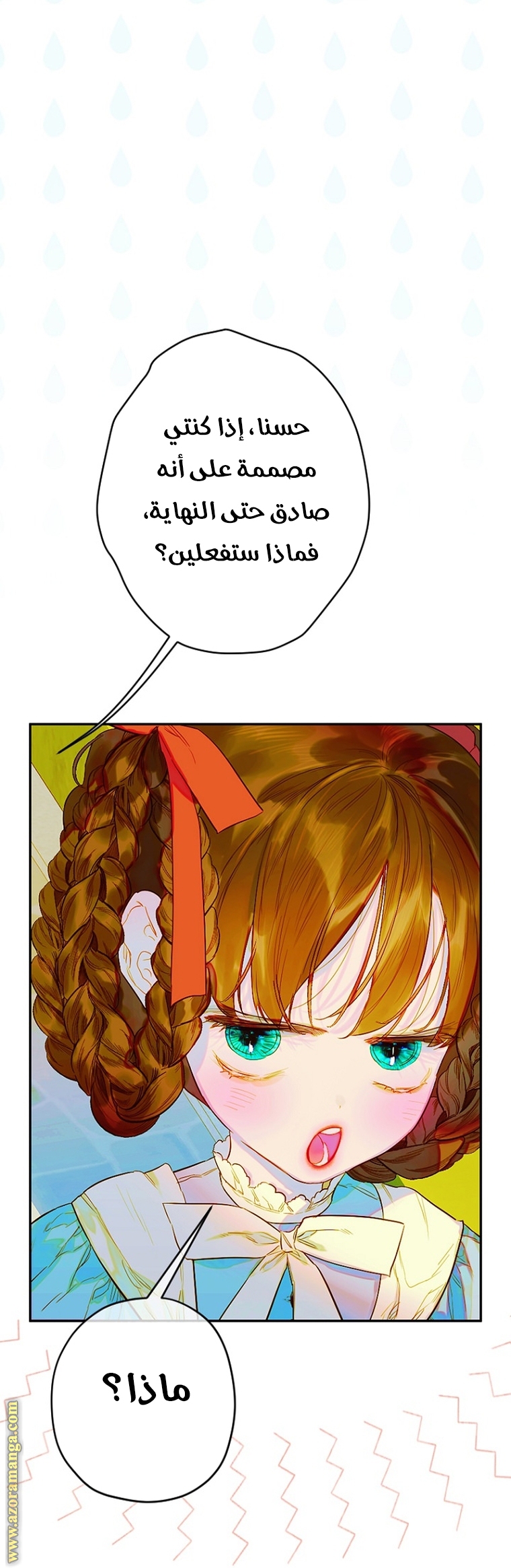 الصفحة 29