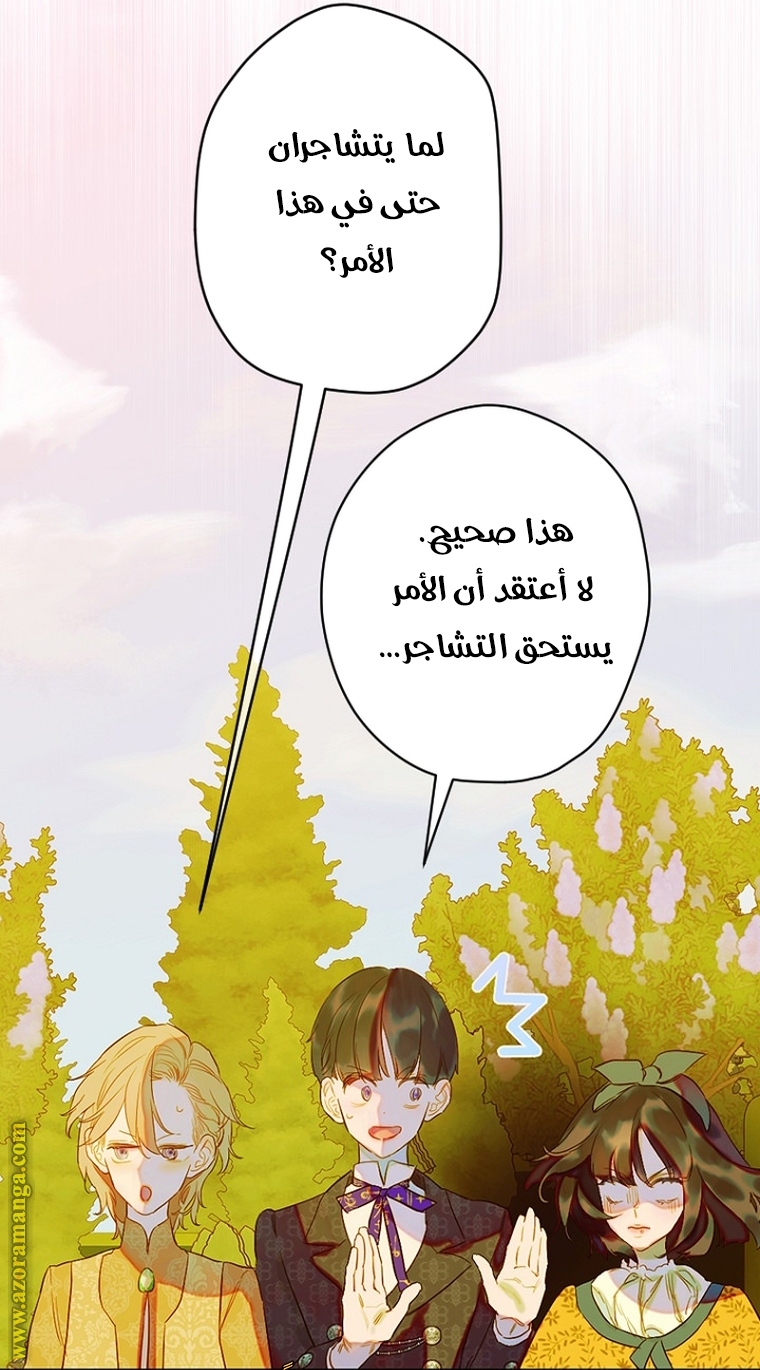 الصفحة 31