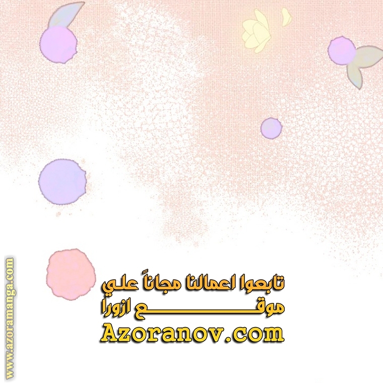 الصفحة 48