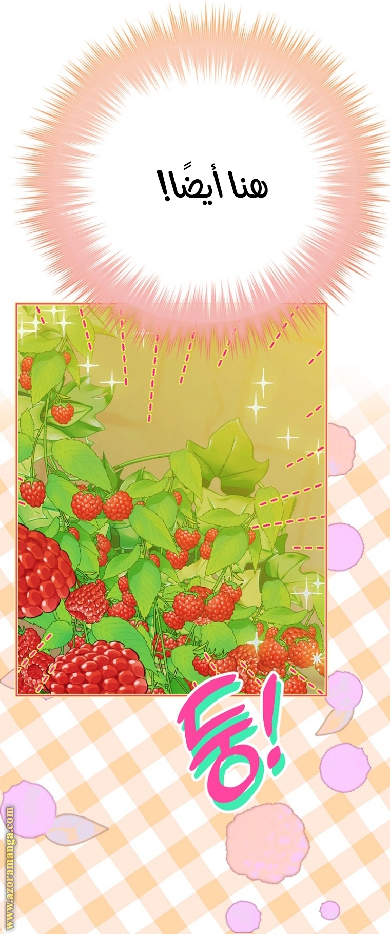 الصفحة 26