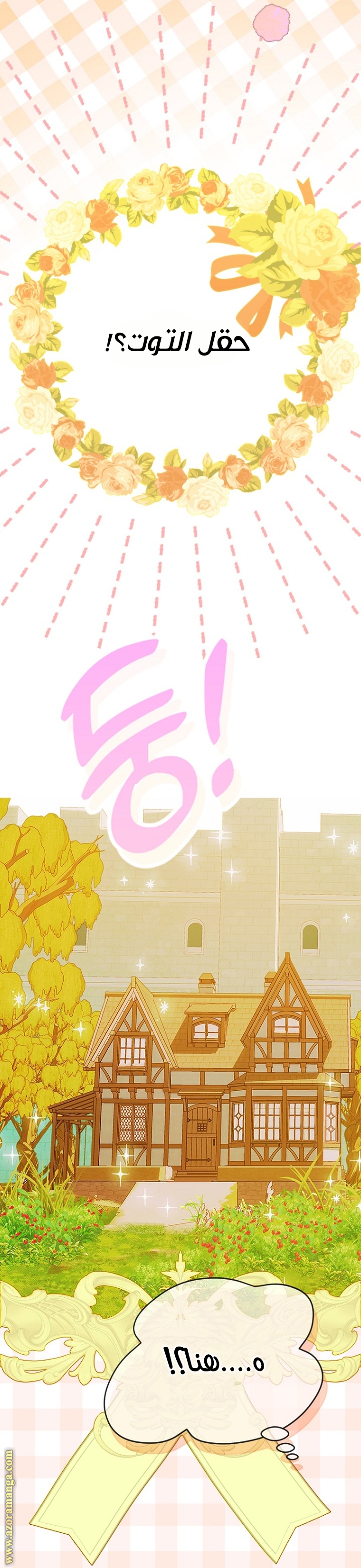 الصفحة 28
