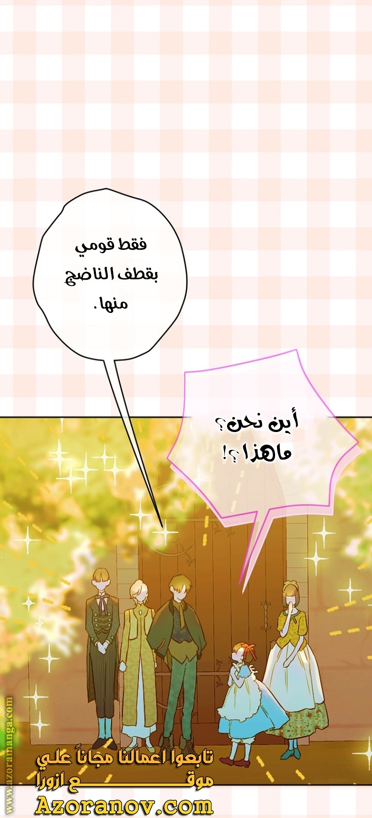 الصفحة 29