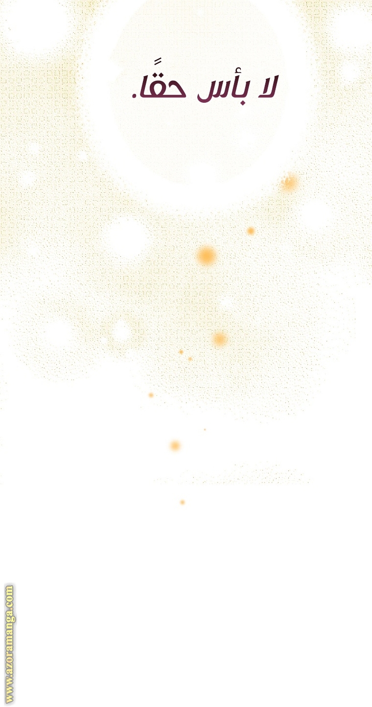 الصفحة 41