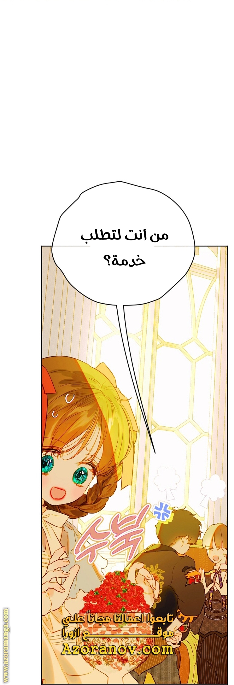 الصفحة 27