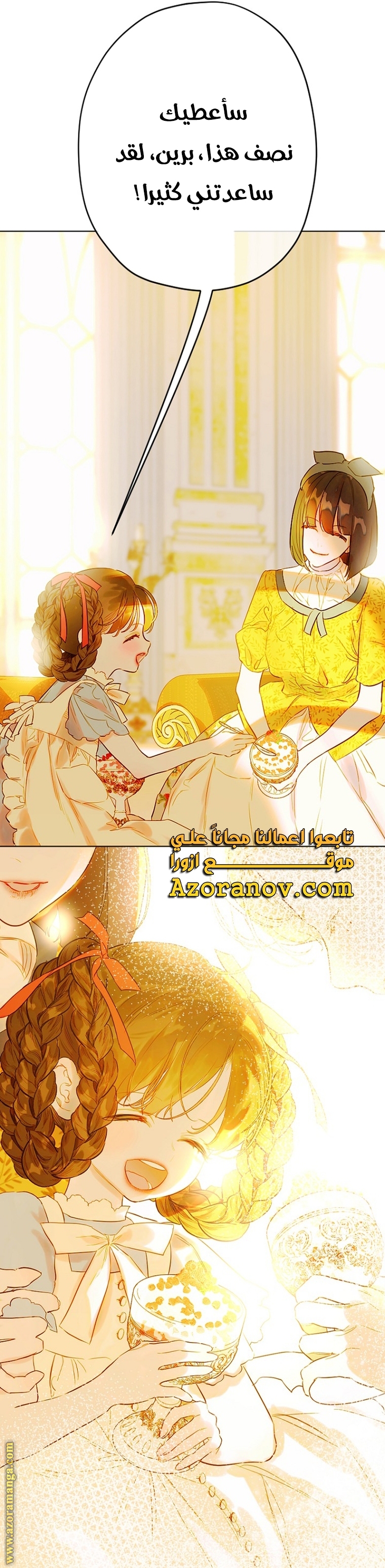 الصفحة 29