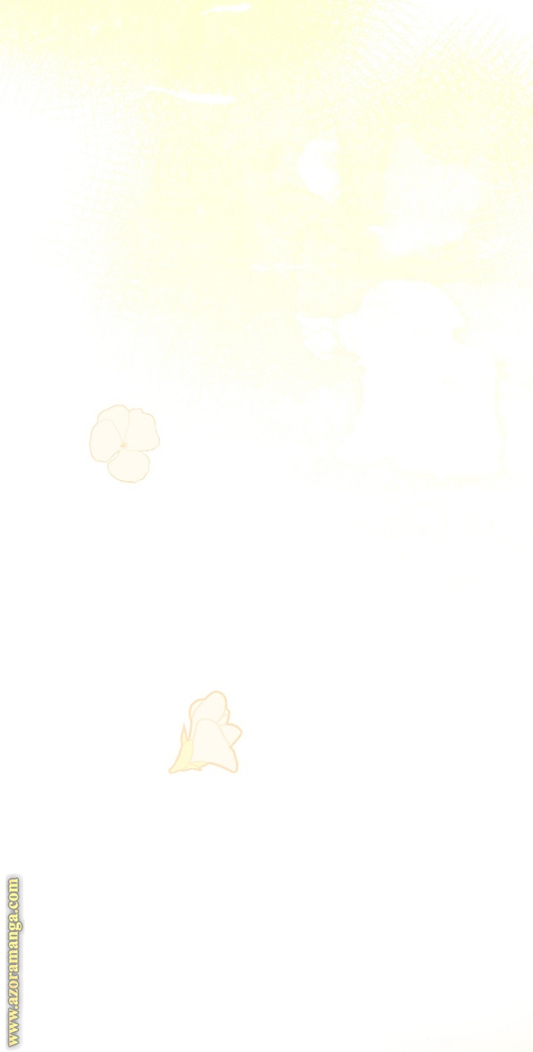 الصفحة 43
