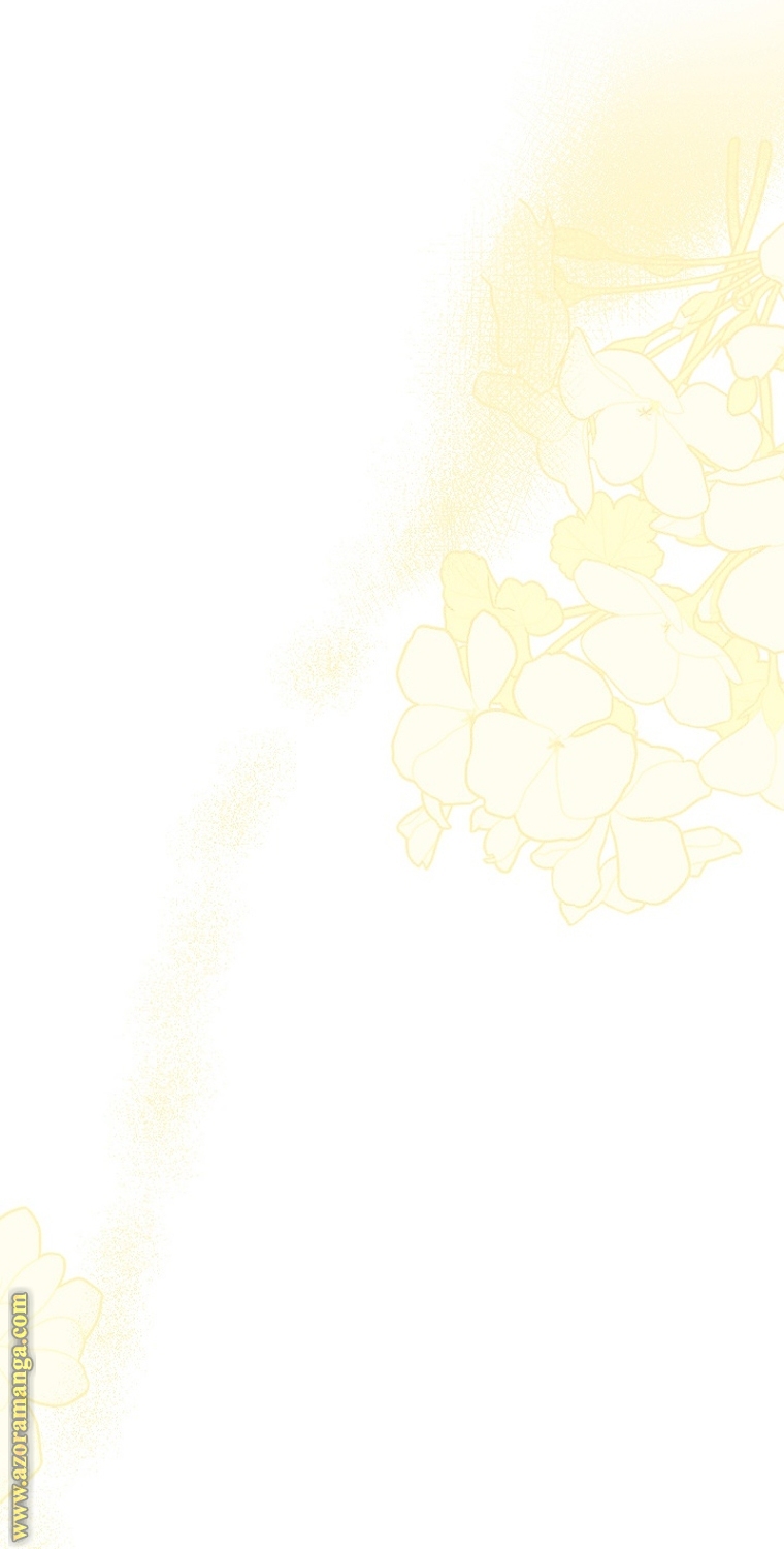 الصفحة 44
