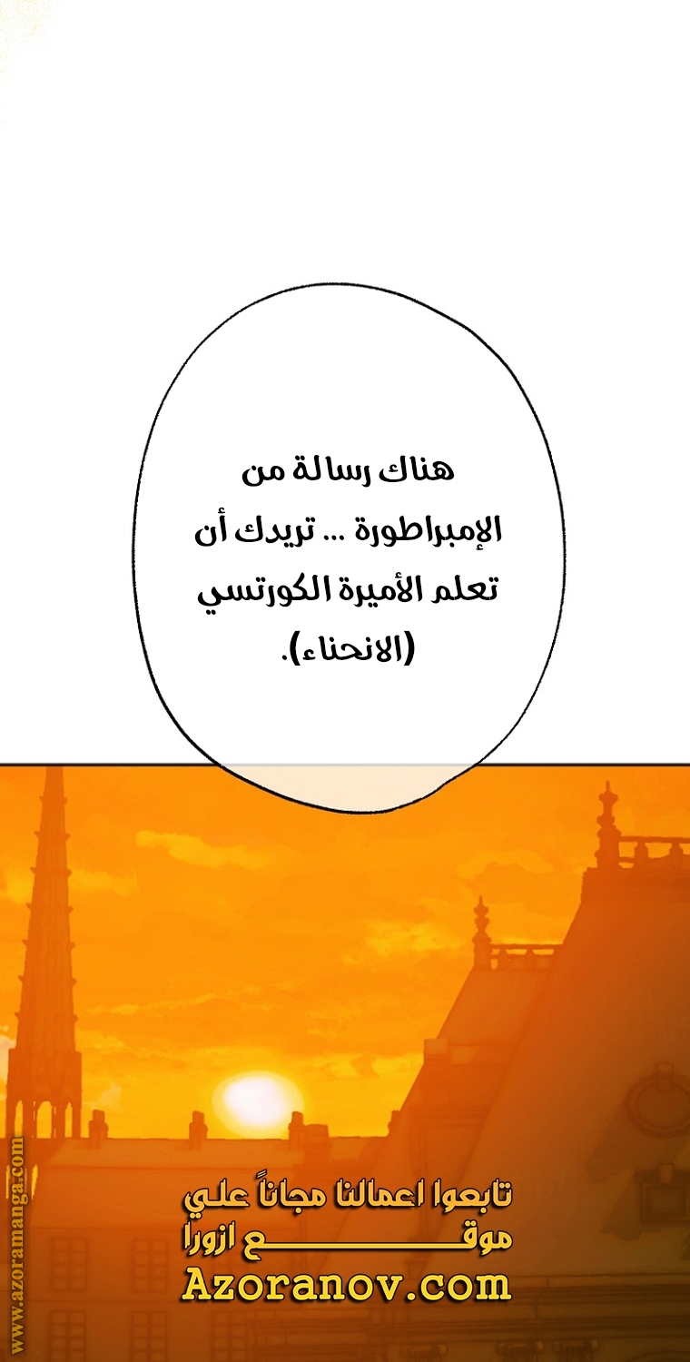الصفحة 45