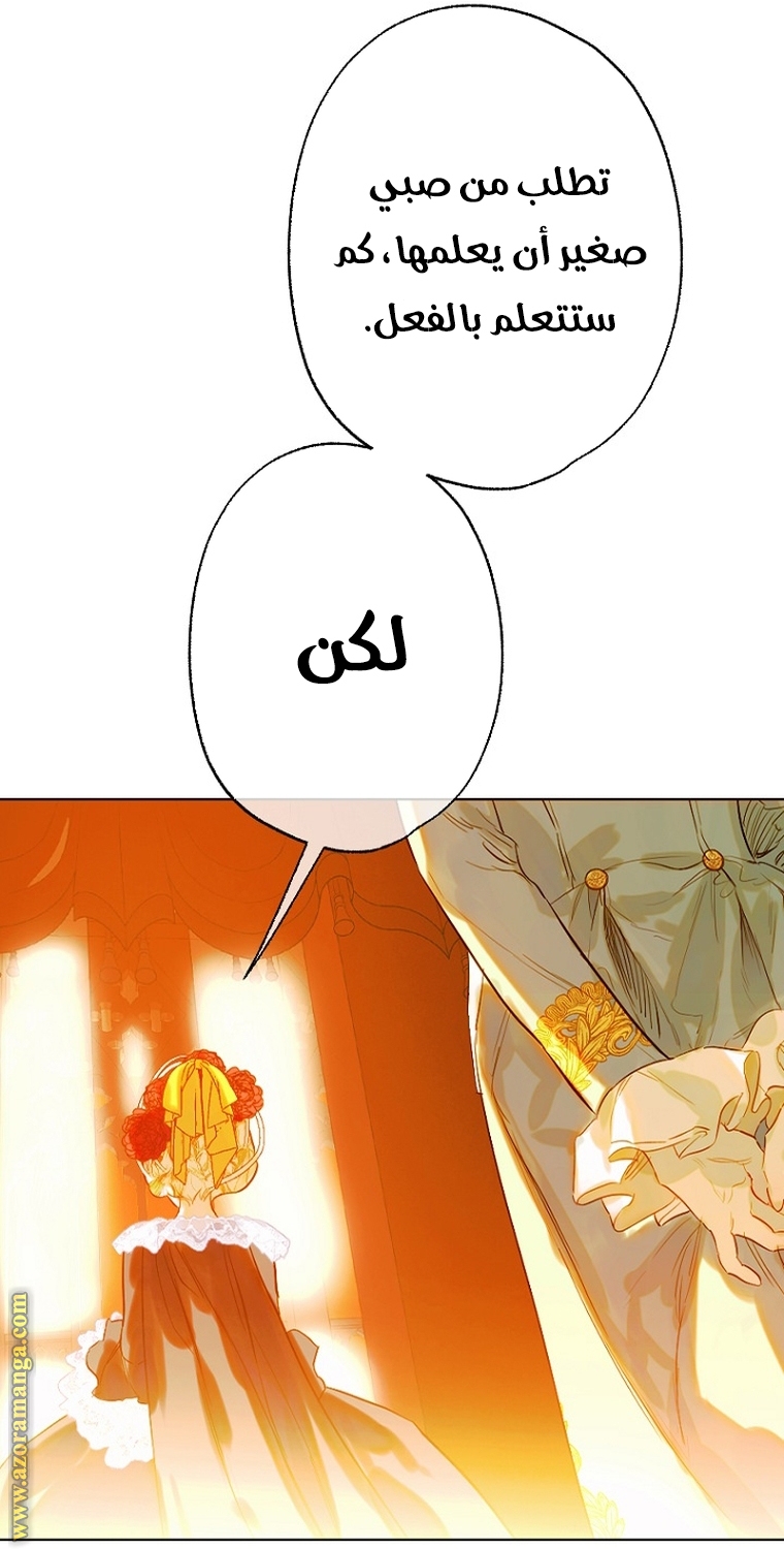 الصفحة 47