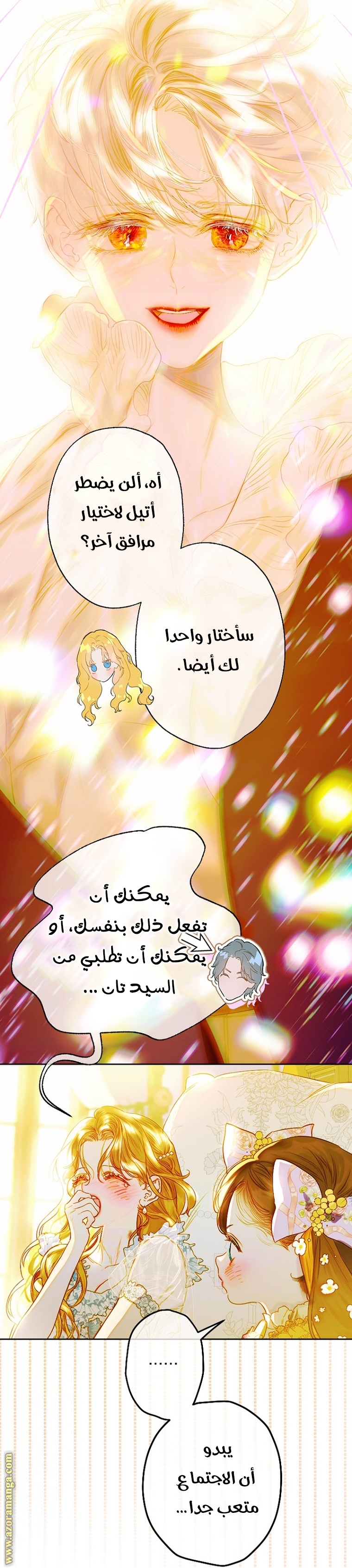 الصفحة 17
