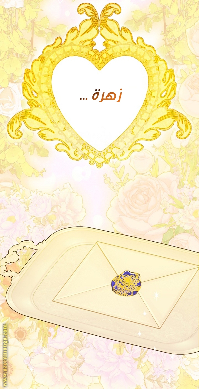 الصفحة 24