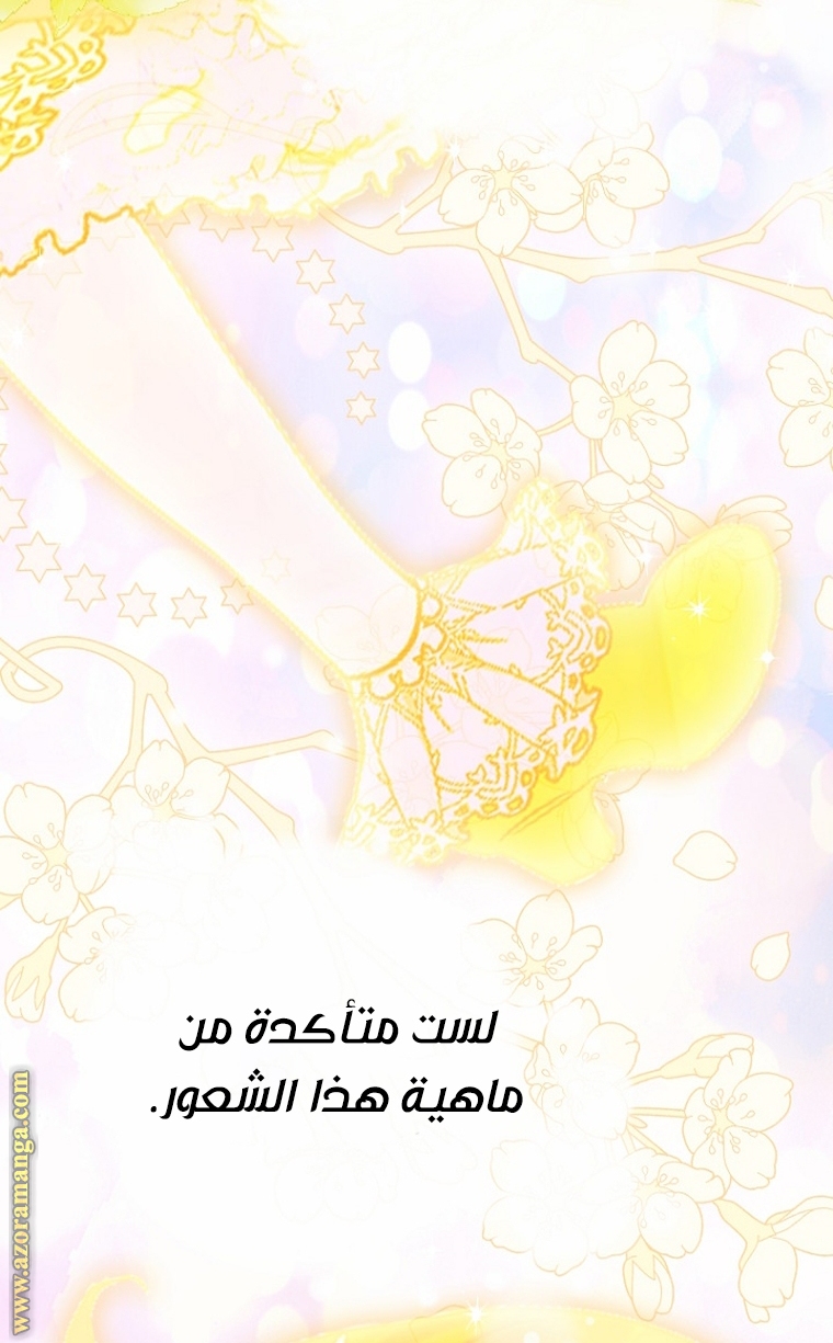 الصفحة 27