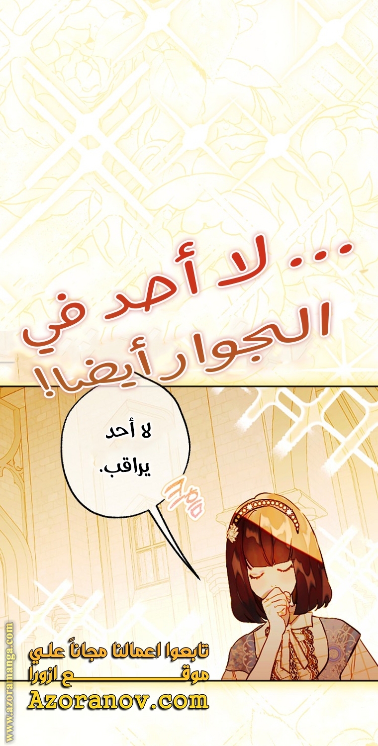 الصفحة 33