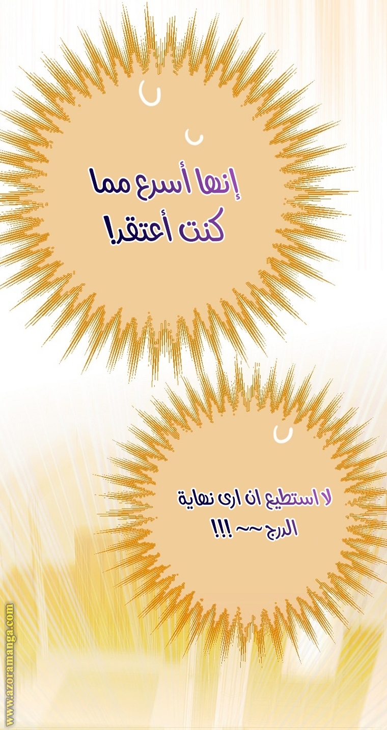الصفحة 41