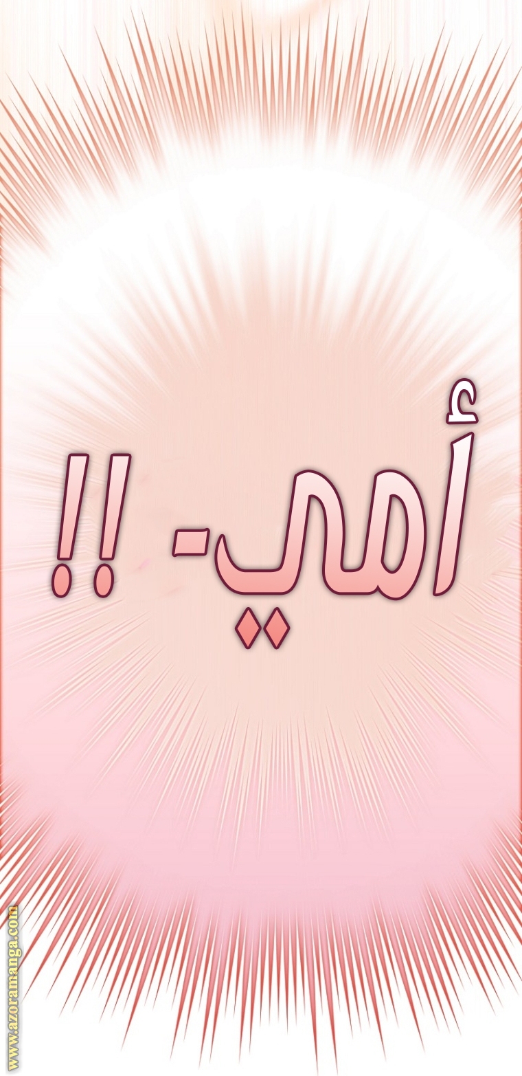 الصفحة 48