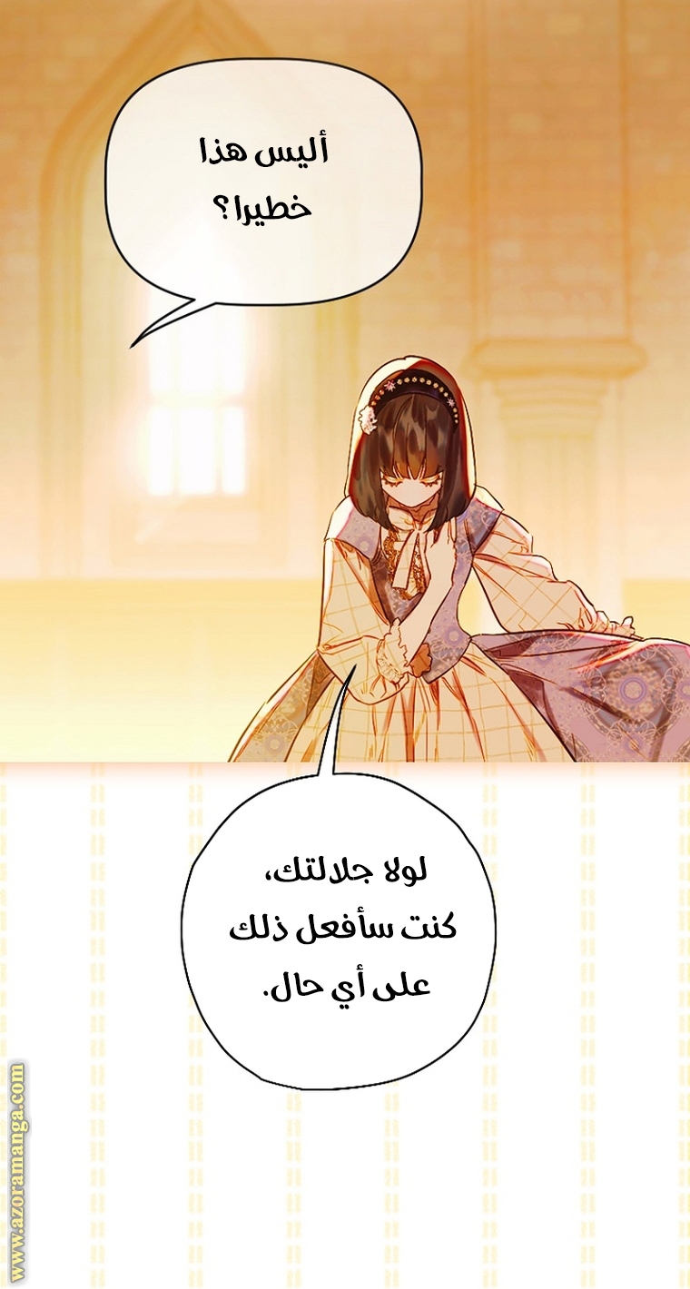 الصفحة 52
