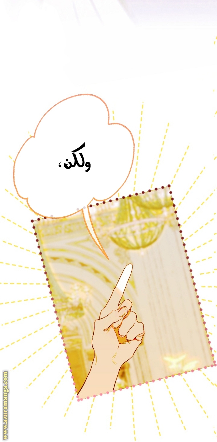 الصفحة 46
