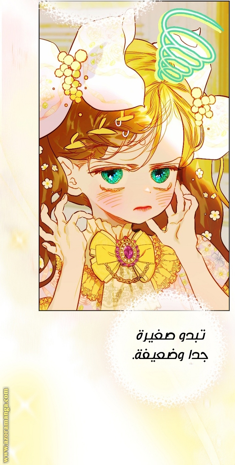 الصفحة 60