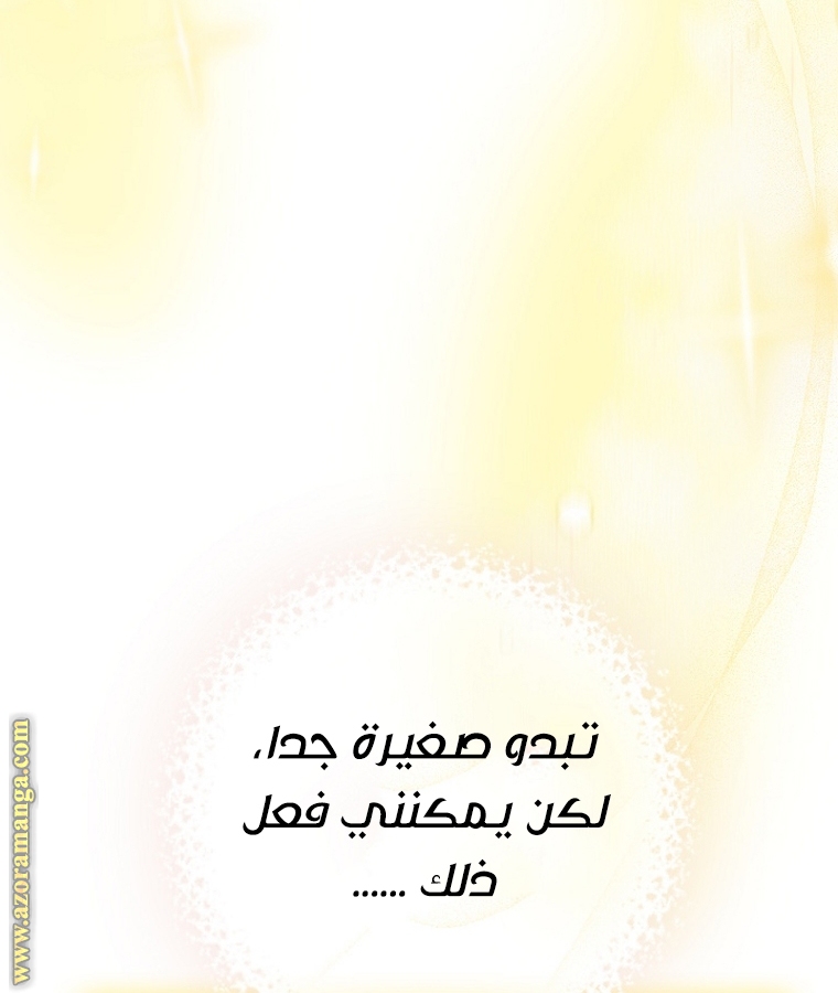 الصفحة 61