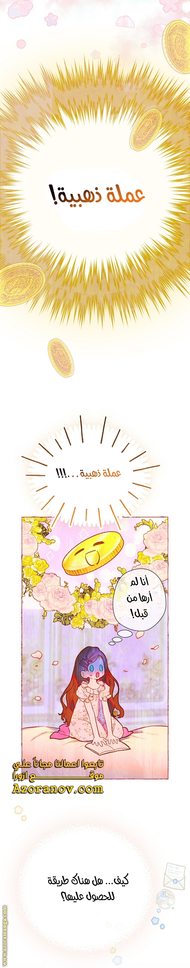 الصفحة 17