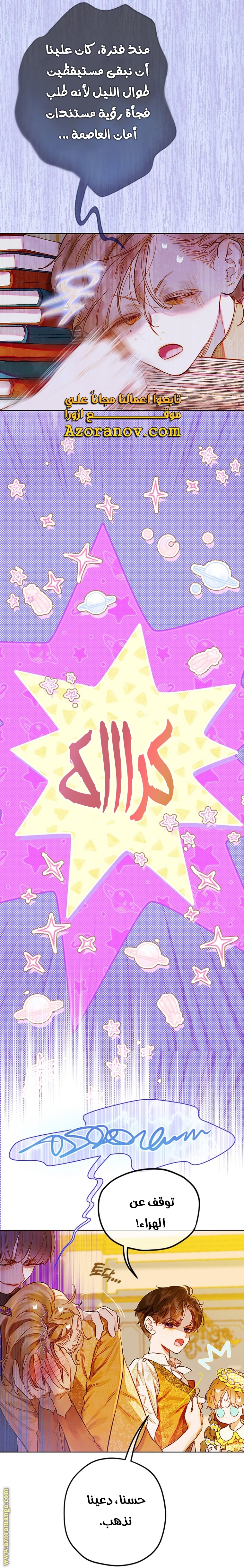 الصفحة 17