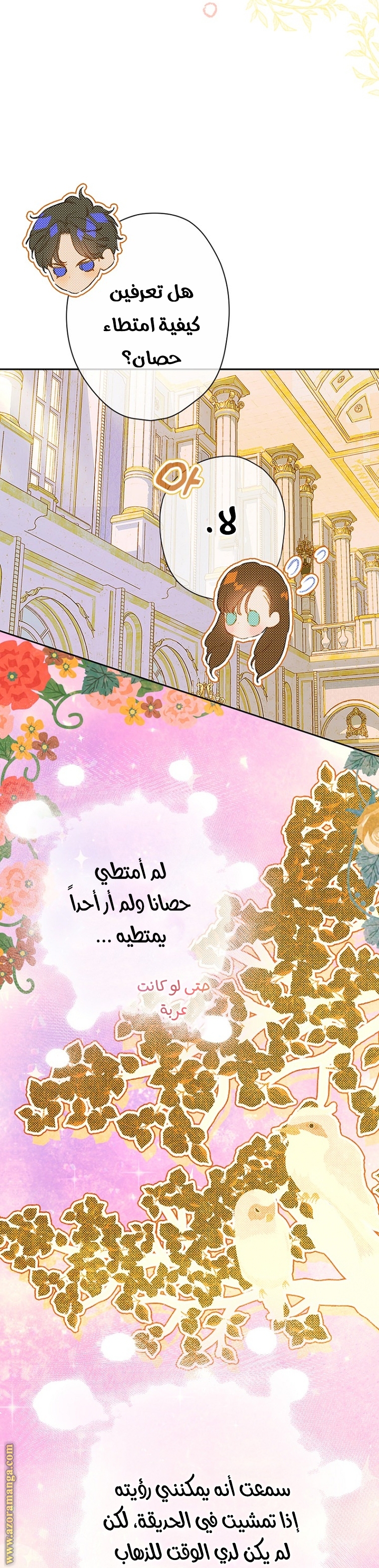 الصفحة 20
