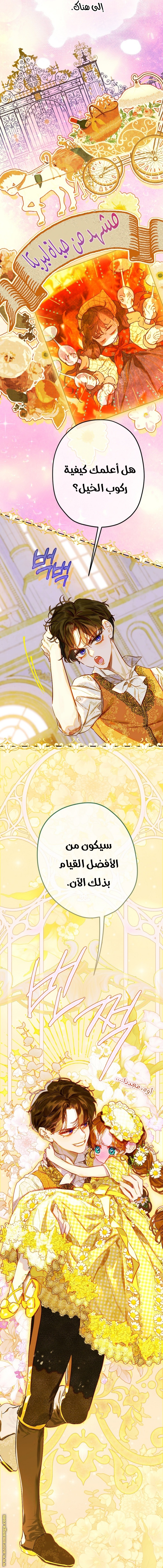 الصفحة 21