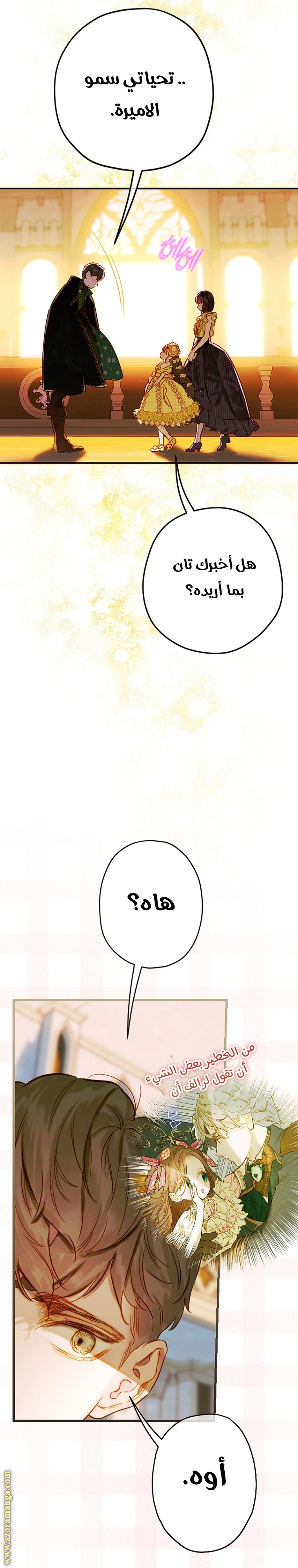 الصفحة 31