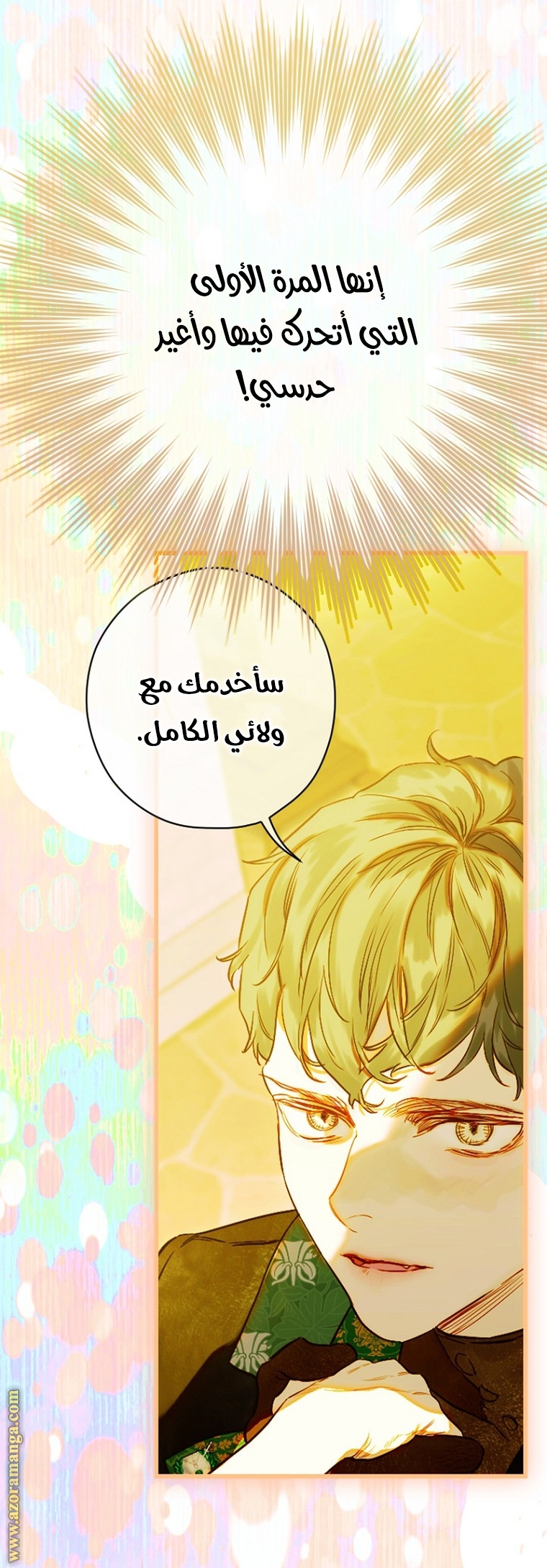 الصفحة 25