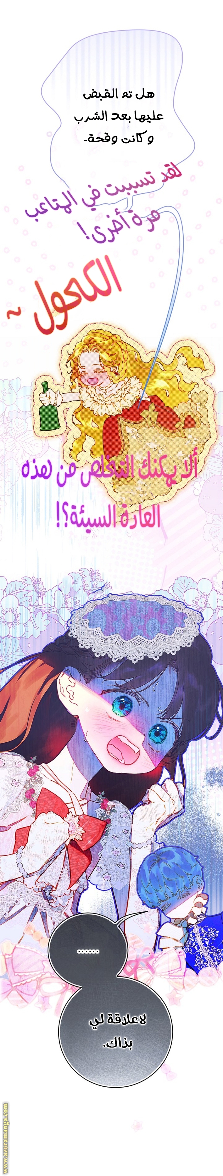 الصفحة 17