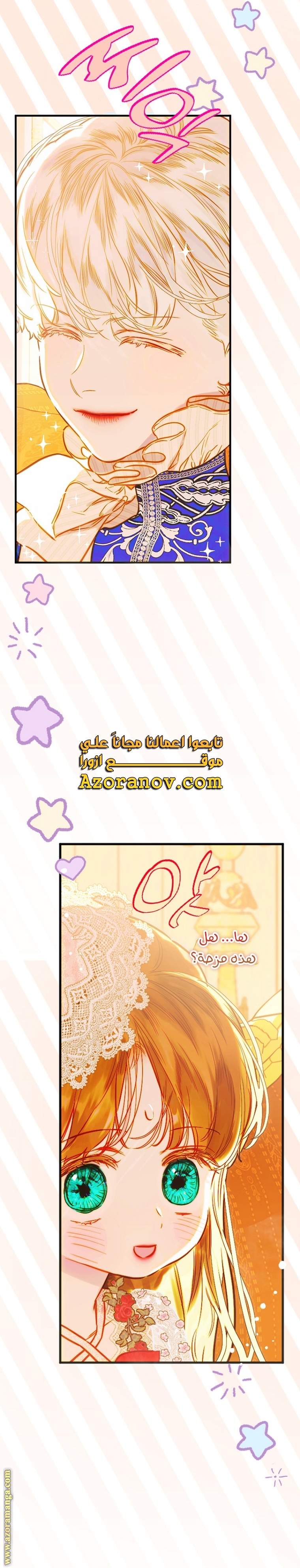 الصفحة 25