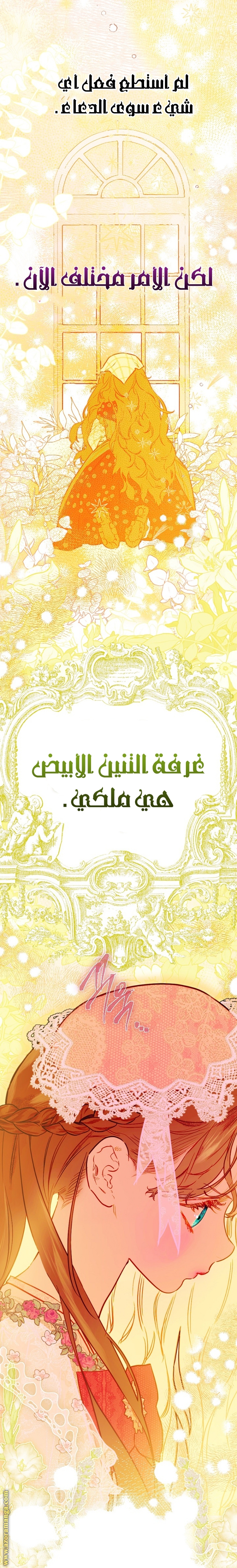 الصفحة 29