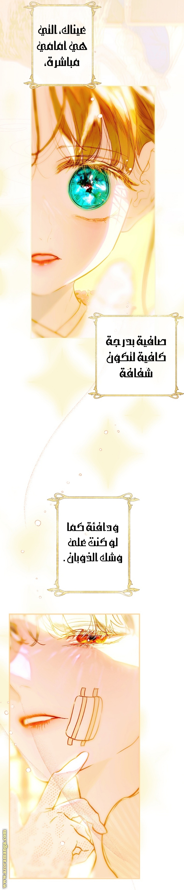 الصفحة 24