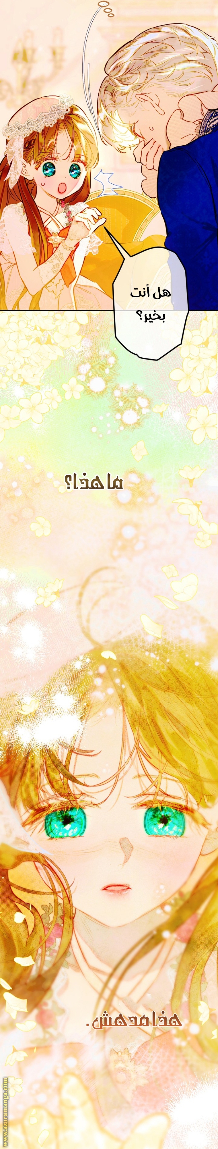 الصفحة 28