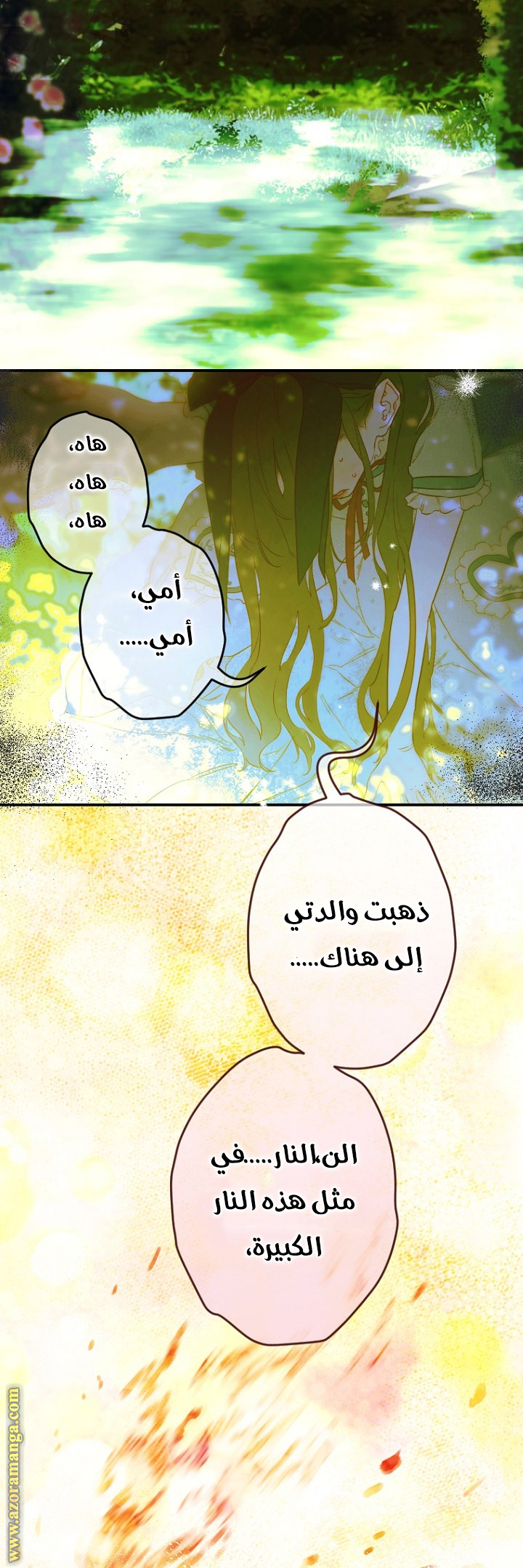 الصفحة 25