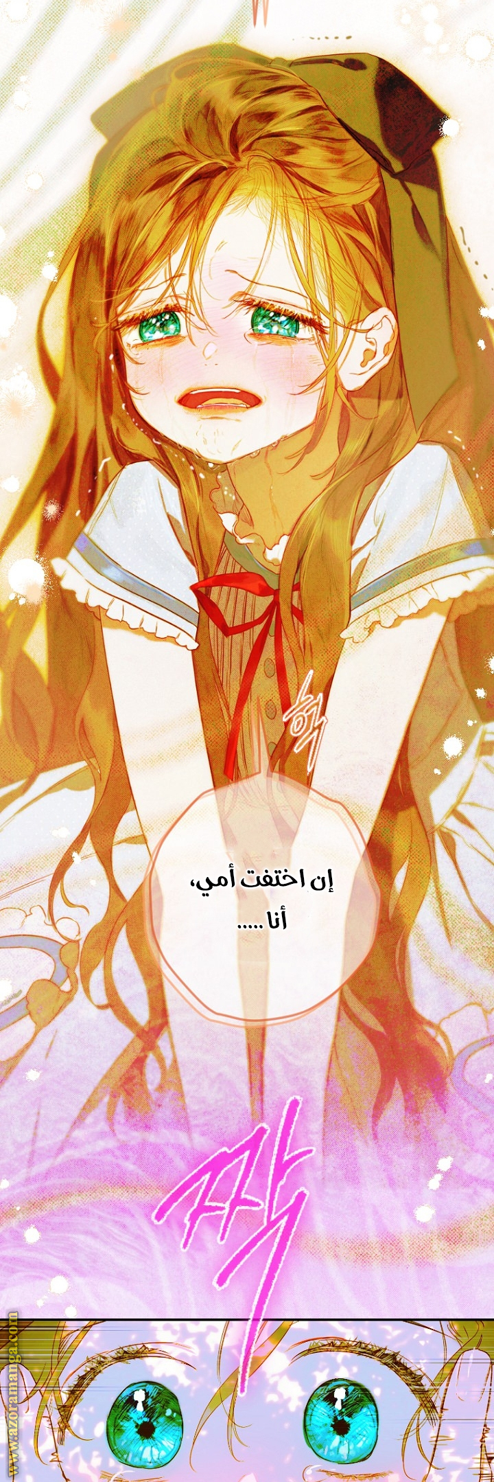 الصفحة 27